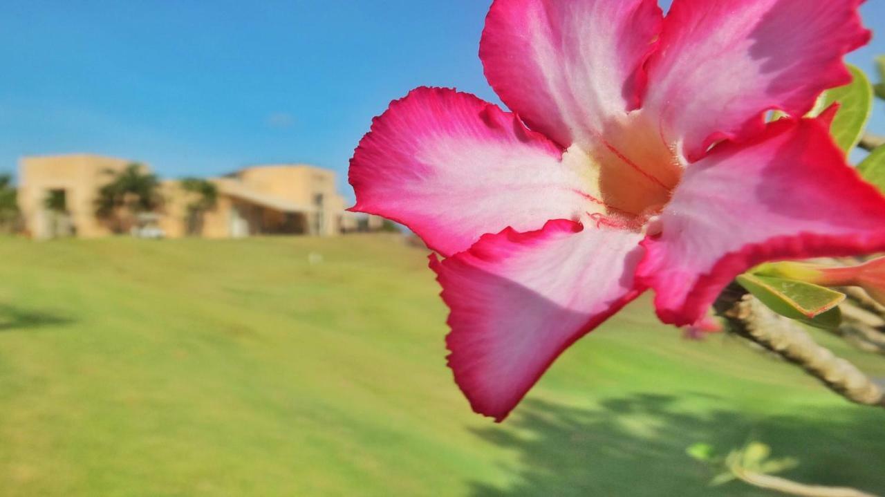 Vipingo Ridge-Swahili Villa Mombasa Exteriér fotografie